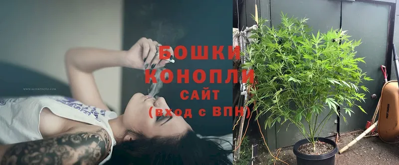 Названия наркотиков Сердобск Cocaine  Меф  A-PVP  Псилоцибиновые грибы  Гашиш 