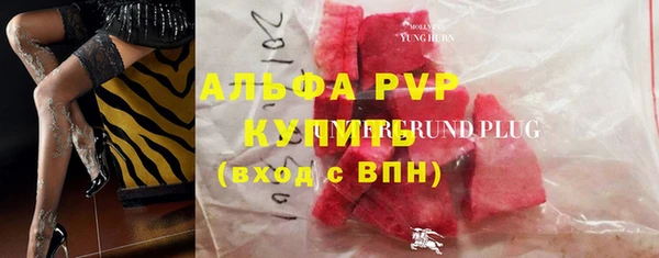 ПСИЛОЦИБИНОВЫЕ ГРИБЫ Краснослободск
