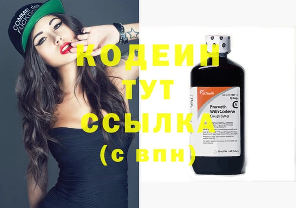 прущий лед Лиски