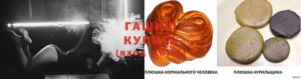 ПСИЛОЦИБИНОВЫЕ ГРИБЫ Краснослободск