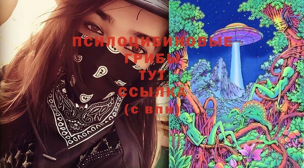 прущий лед Лиски